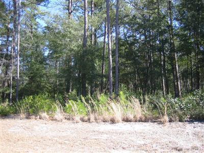 3335 Portside Dr Southwest, Supply, North Carolina Homes & Land - Real Estate