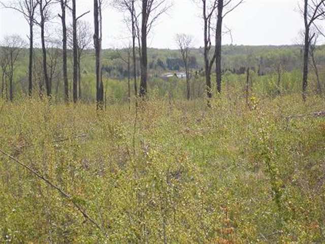 XXXX Ridgeview Rd, Duluth, Minnesota Homes & Land - Real Estate