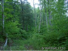 000 Black Camp Gap Road, Maggie Valley, NC 28751